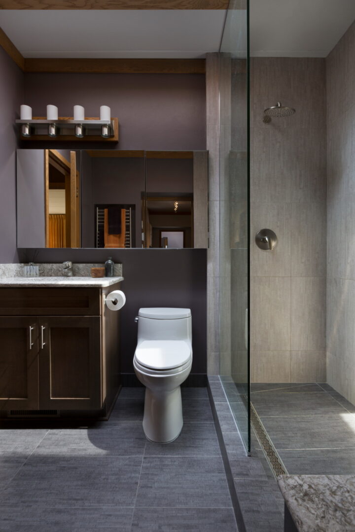 A white toilet bowl between the shower area and vanity